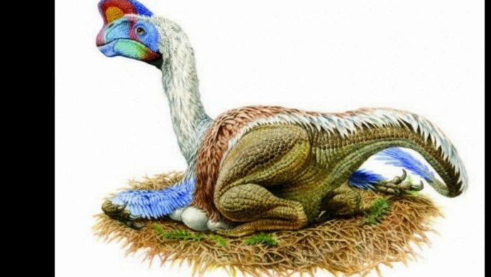 Овираптор гнездо