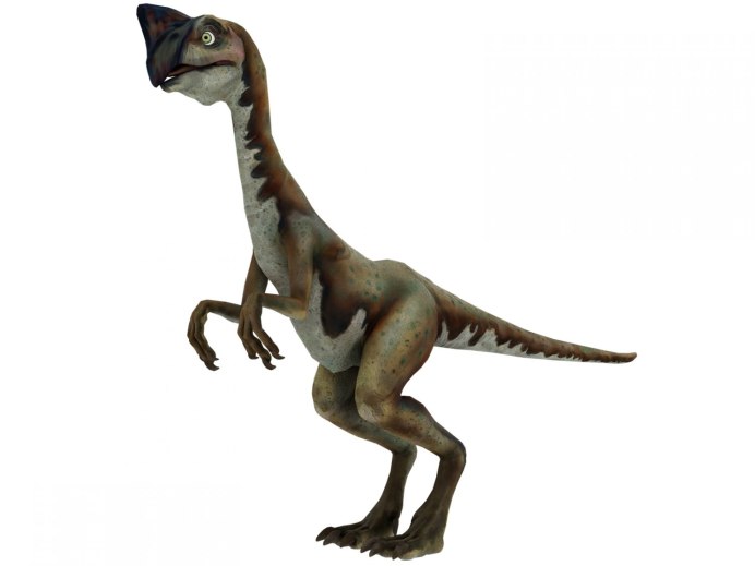Gigantoraptor erlianensis