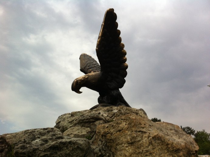 Коршун видео