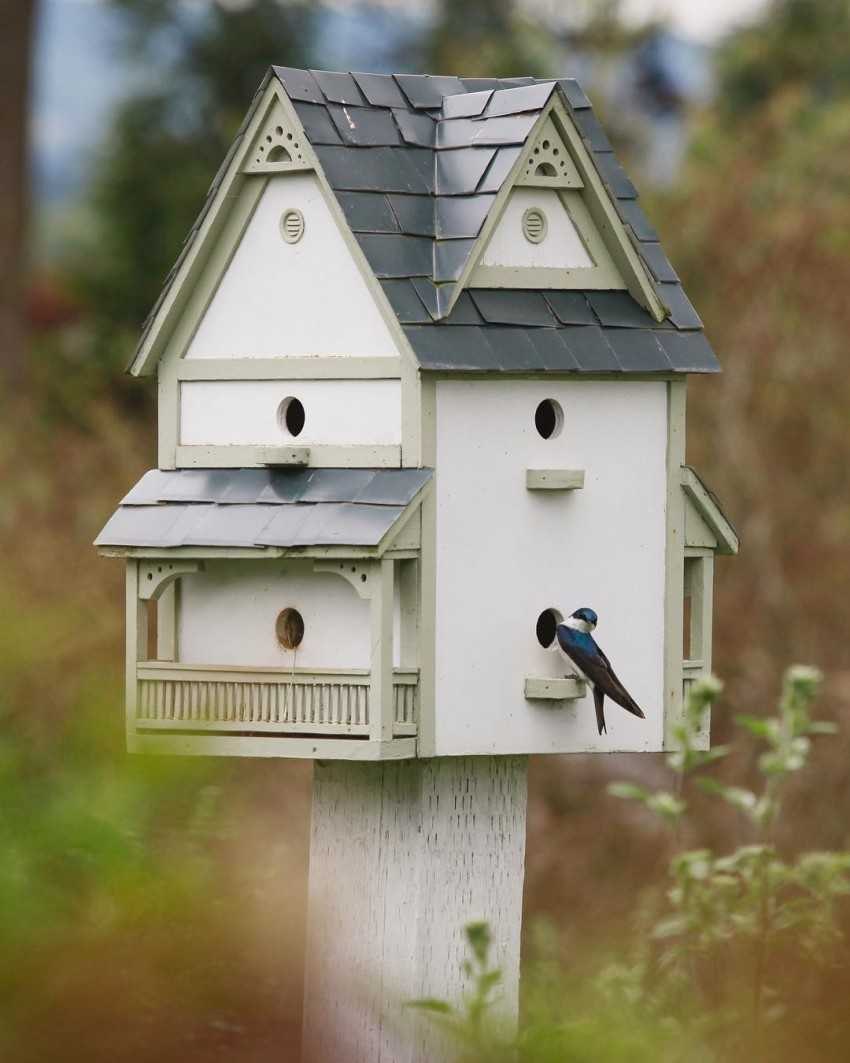Оригинальное украшение для сада: 6 необычных домиков для птиц
