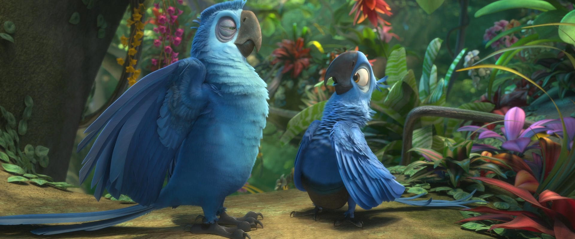 Rio 2. Рио Эдуардо. Рио 2 Эдуардо. Рио 2 мультфильм 2014. Попугай Эдуардо из Рио.