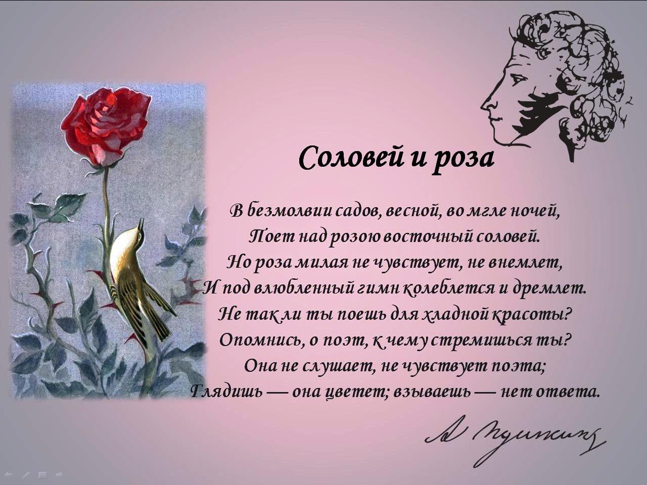 Стихотворение Пушкина Соловей и роза