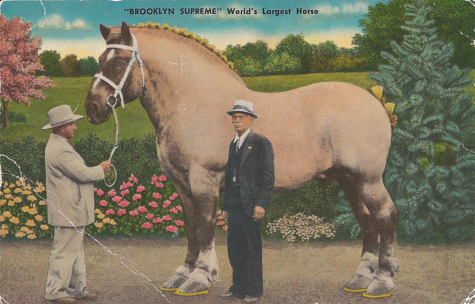 Большой конь 1846 года