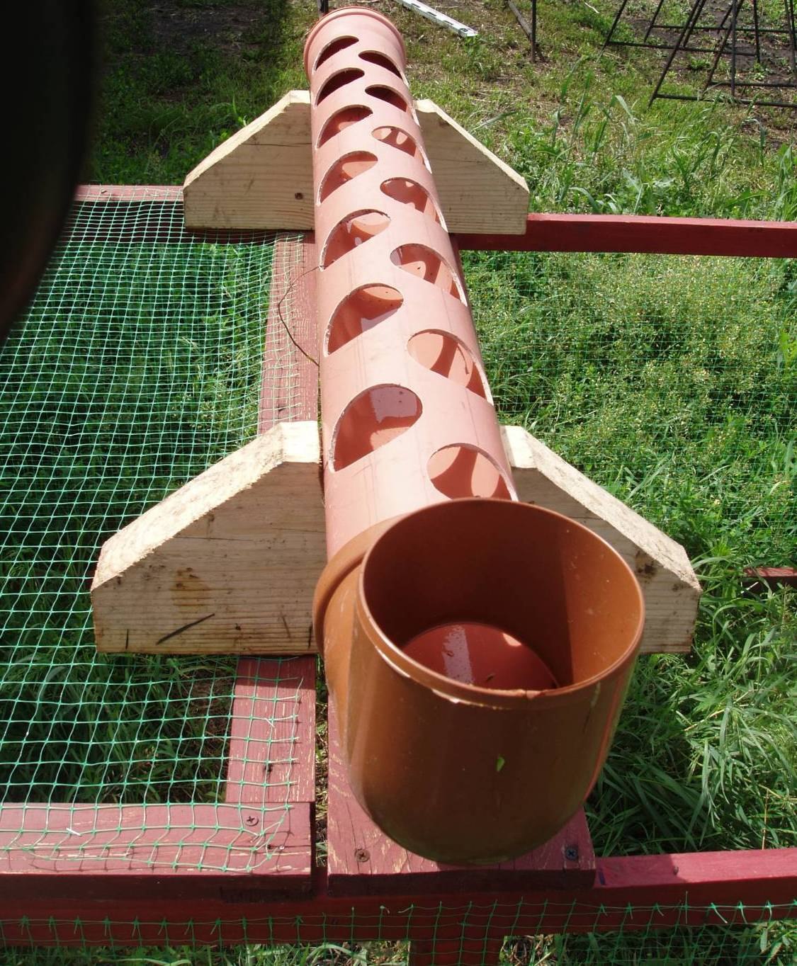 Кормушка для гусей своими руками: бункерная, конструкция из дерева