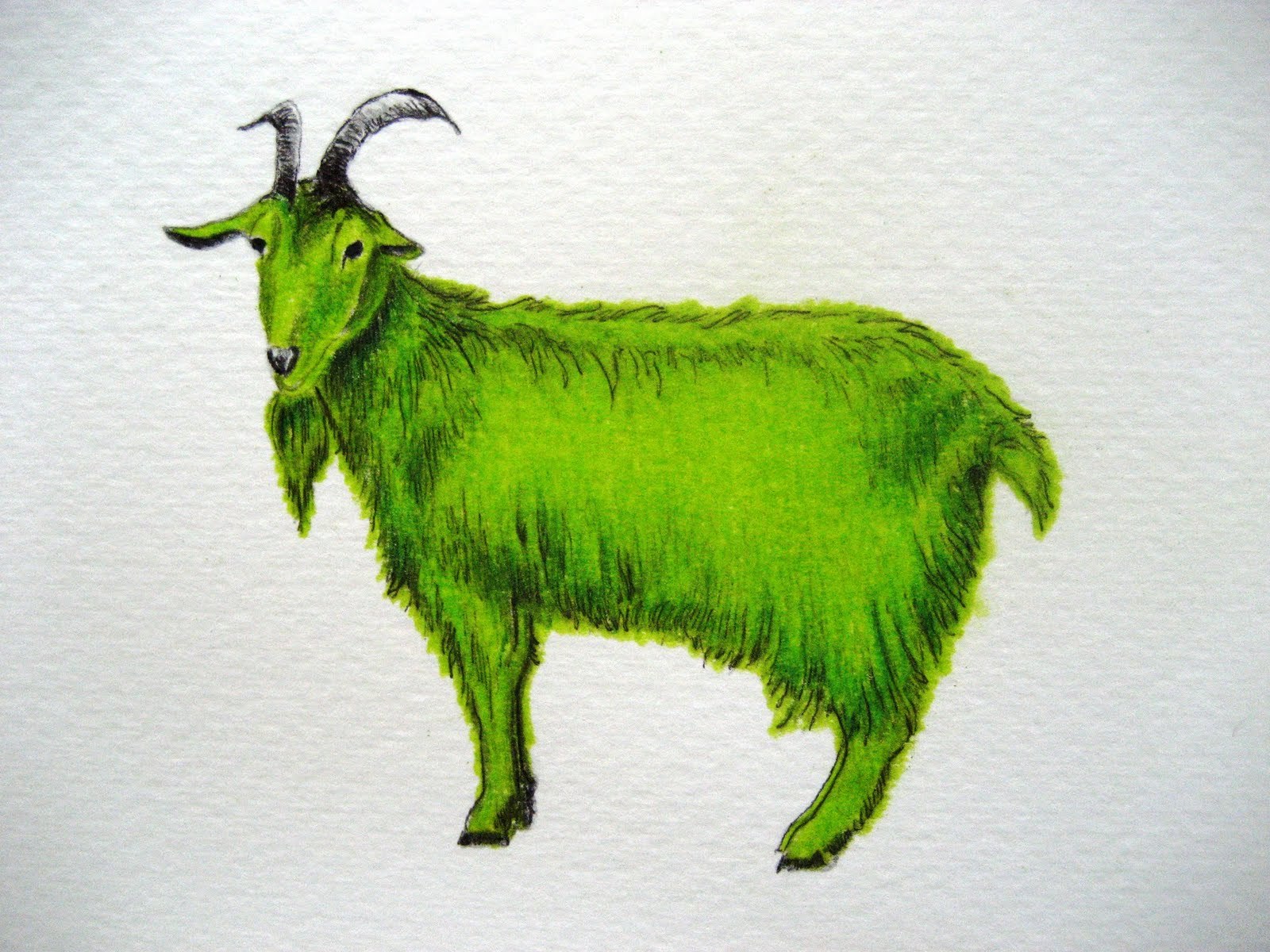 2015 год зверь. Зеленая деревянная коза. Зеленый козел. Год зеленой козы 2015. 2015 Год зеленой деревянной козы.
