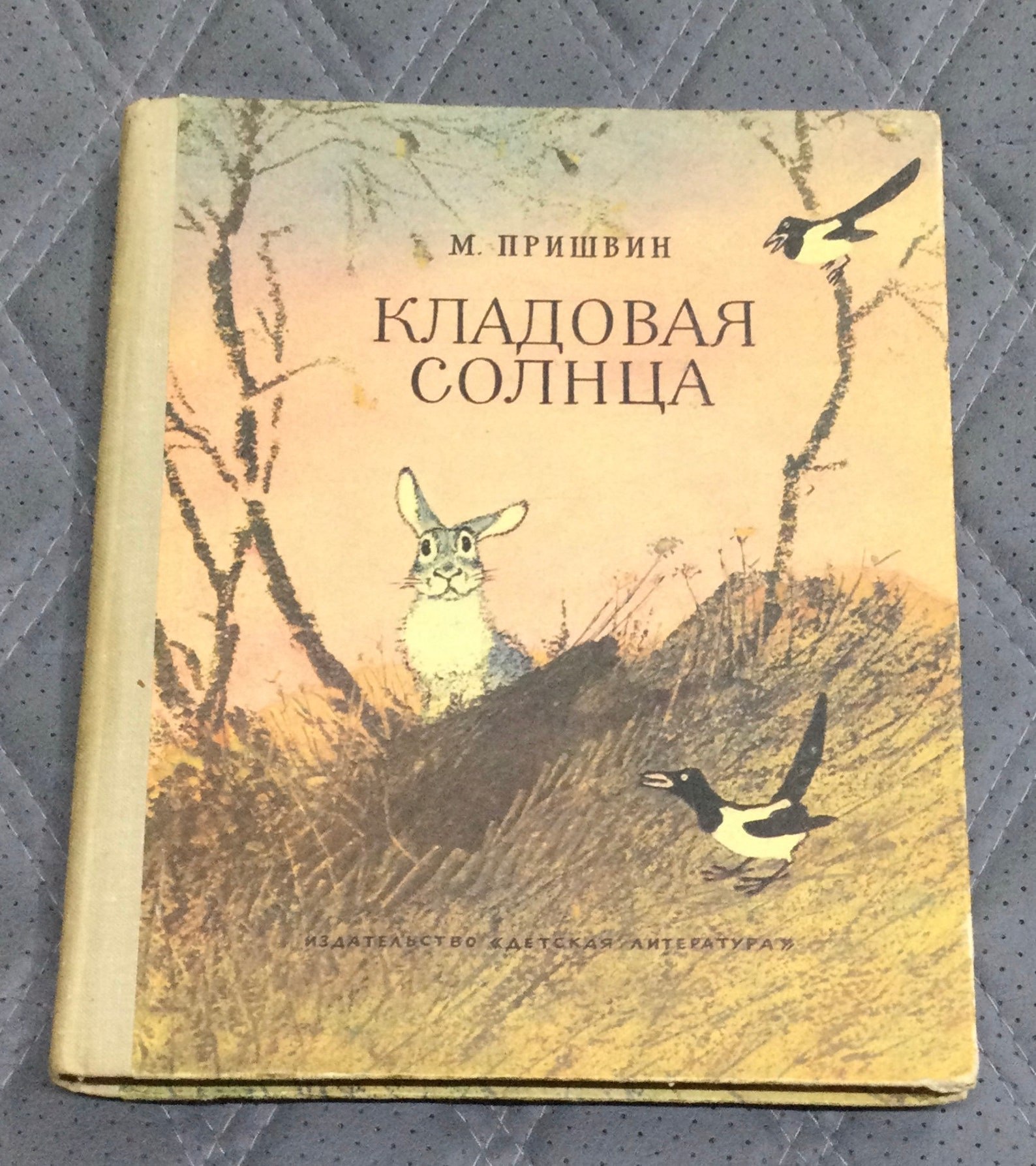 Кладовая солнца 1979. Пришвин кладовая солнца книга. Кладовая солнца Рачев пришвин.