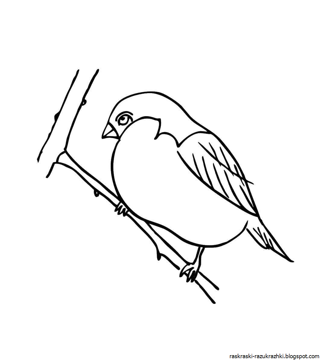 Рисунок птицы на рябине