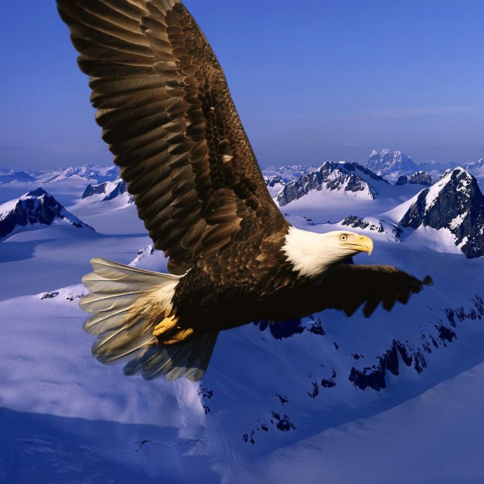 Испанский Орел могильник