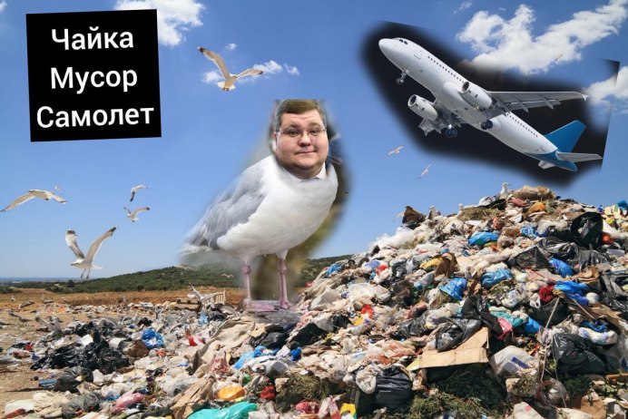 Чайки на свалке