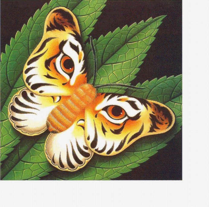 Tiger Moth насекомое