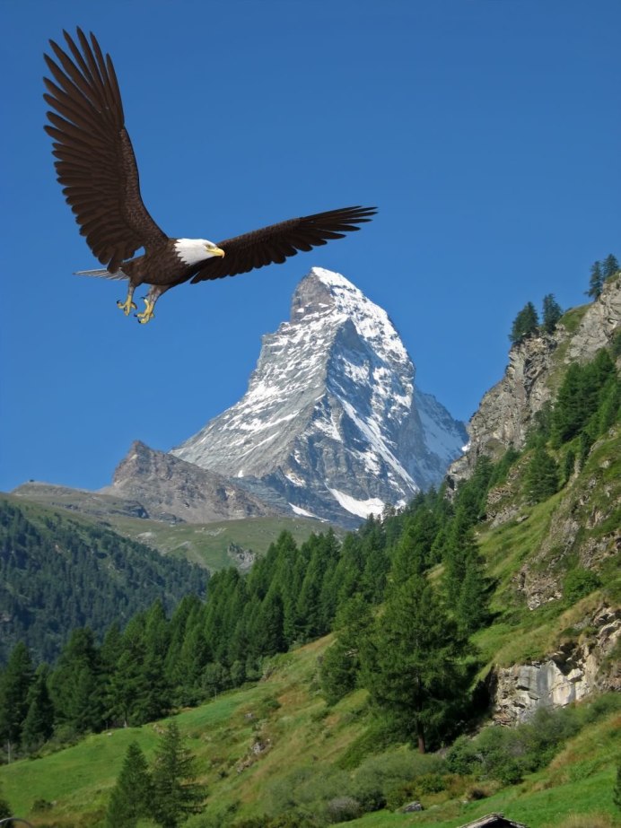 Орел над горами