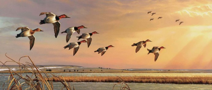 Утки в небе