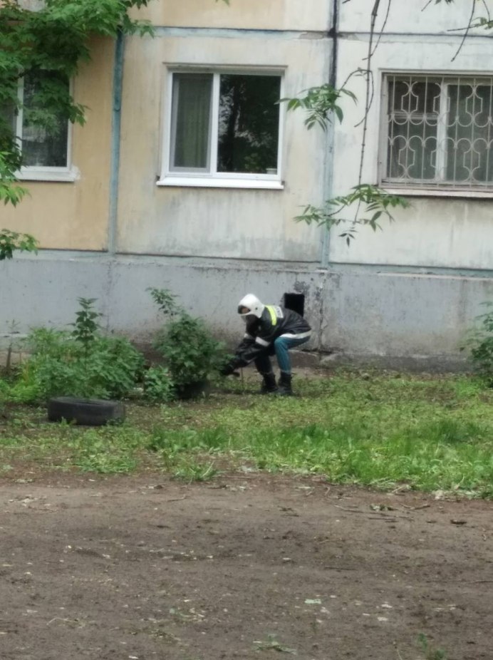 Мертвая ворона на снегу