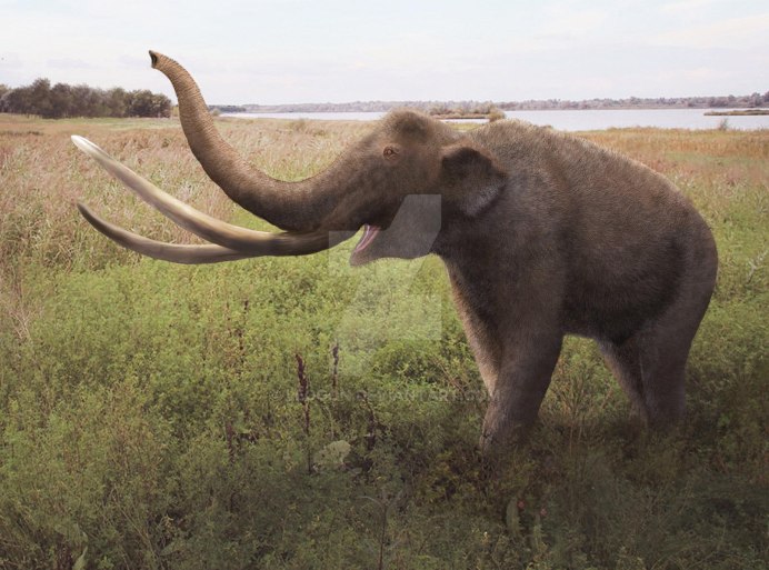 Зулусский слон