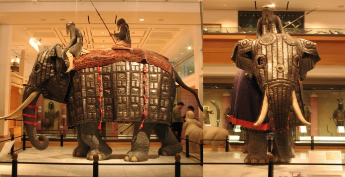 Слоны самцы