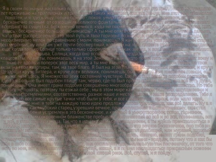 Птицы и жвачка