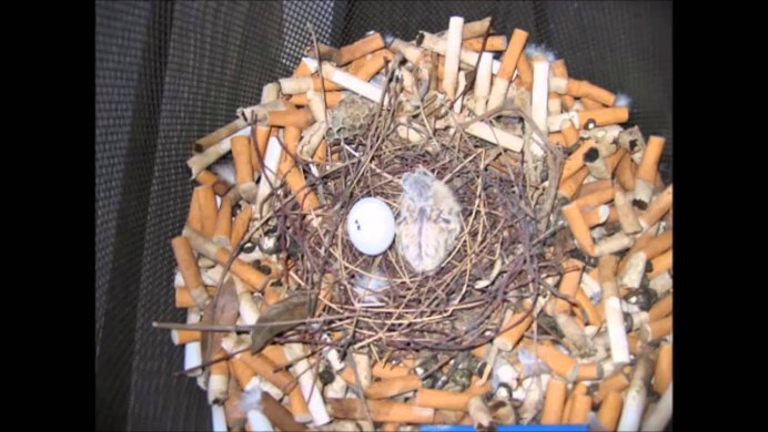 Сунила Гопалана