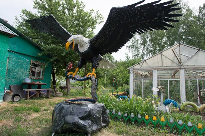 Степной орёл (Aquila nipalensis