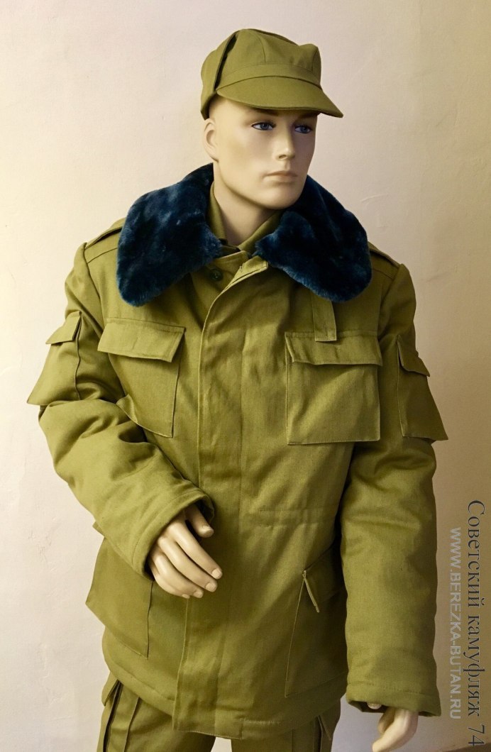 Афганский скворец фото