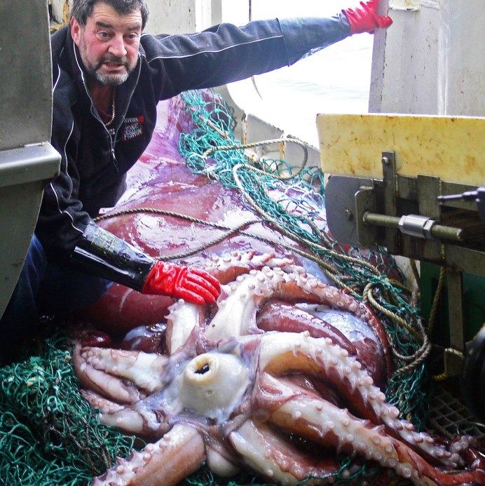 Геншин игра в кальмара