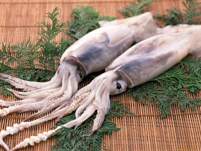 Кальмар и осьминог