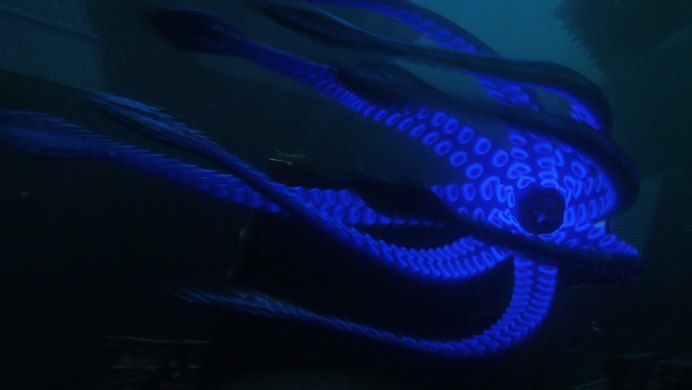 Мягкая игрушка кальмар