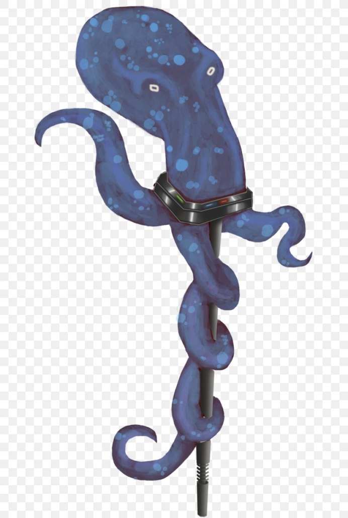 Гребневик Венерин пояс