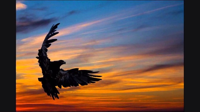 Птица свободы