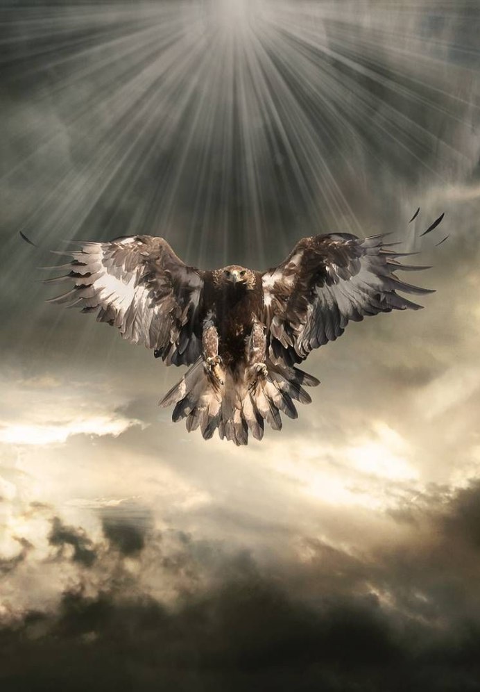 Вольная как птица