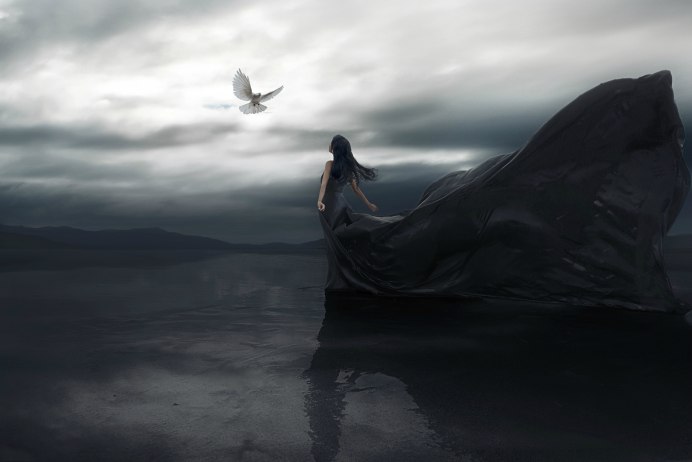 Буревестник в небе