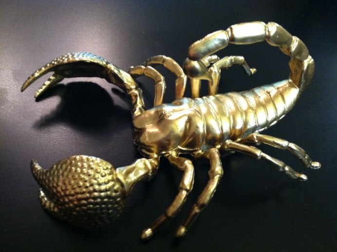 Heterometrus longimanus