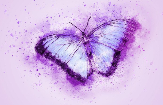 Картинки Wallpaper четкие цветы и бабочки