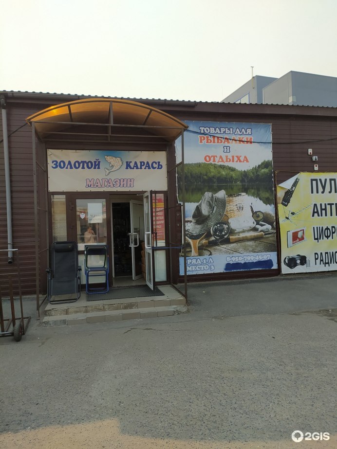 Трофейный золотой карась