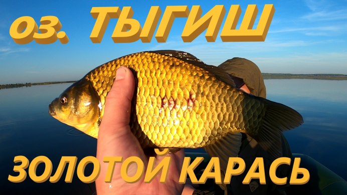 Самый крупный карась