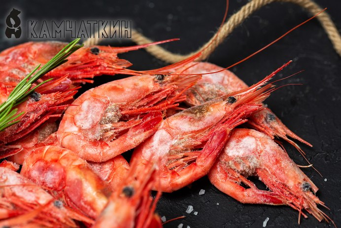 КРЕВЕТКИНЪ, Владивосток