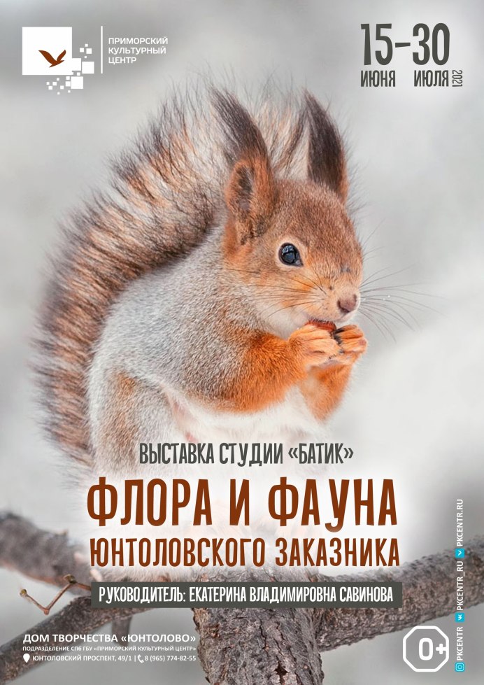 Миленькая Белочка