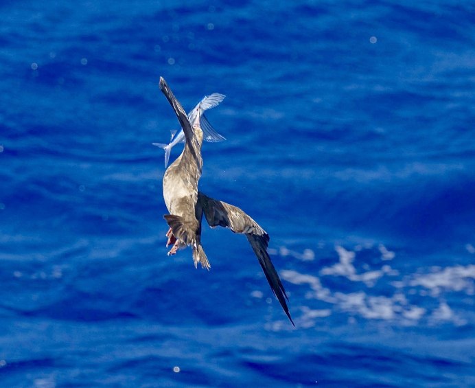 Алан МАКФАДЬЕН фотограф