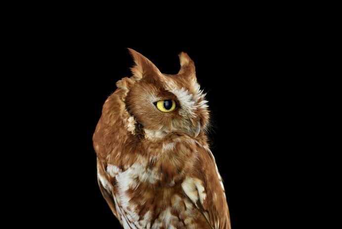 Алина Заславская модель Алина Заславская модель