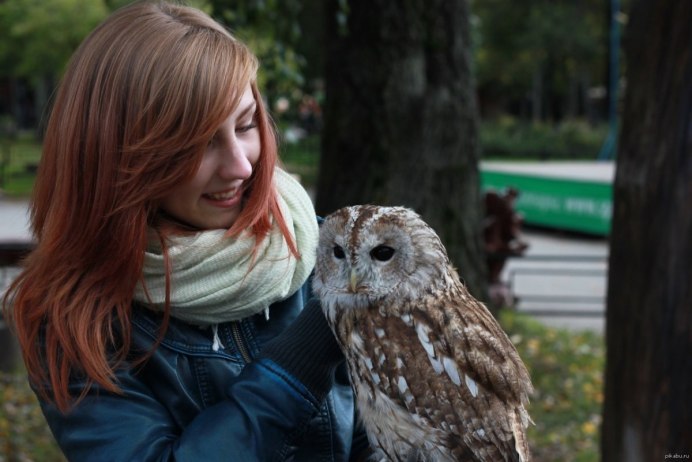 Рыжая девушка с совой