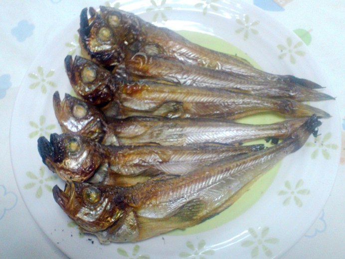 Sea Trout