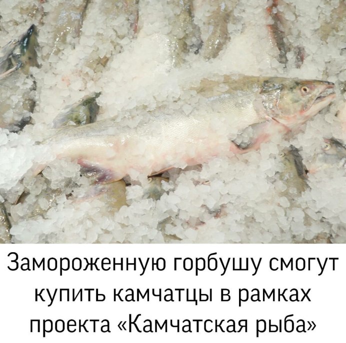 Нерка с/м ПБГ