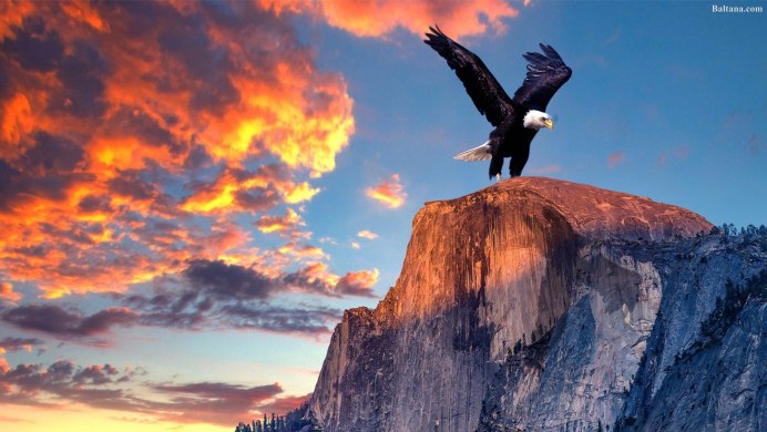 Орел над горами