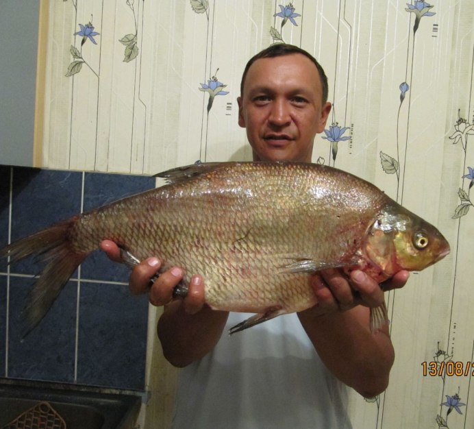 Черный Амурский лещ