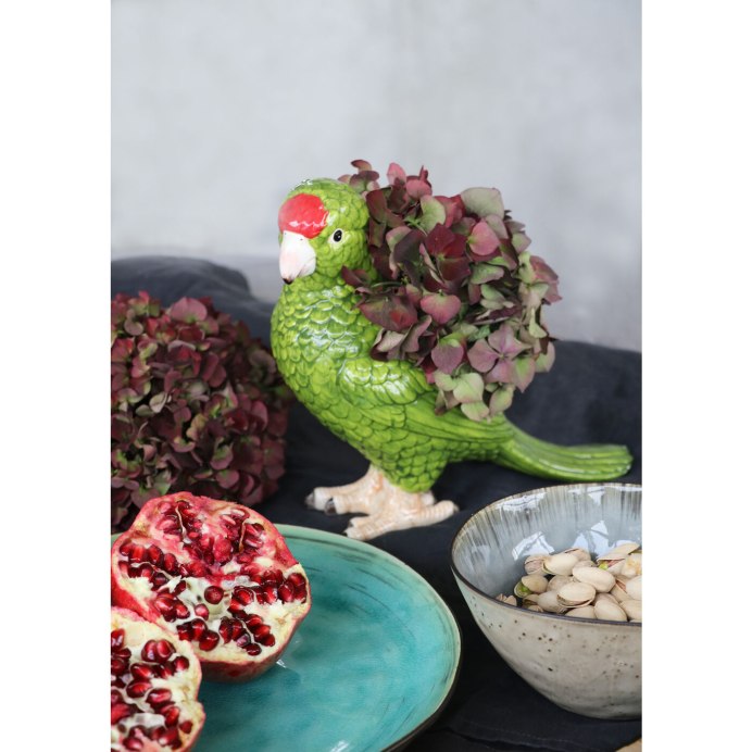Vasa Parrot penis