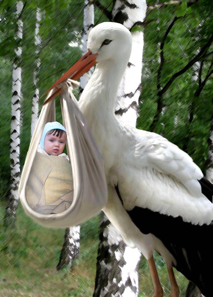 Аист с ребенком