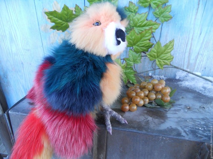 Жако зеленый