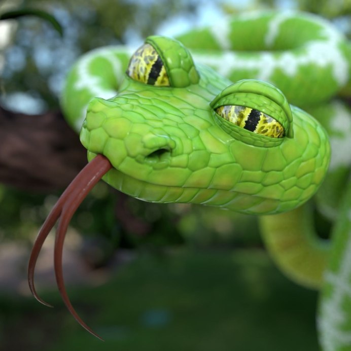 Калифорнийская Королевская змея альбинос