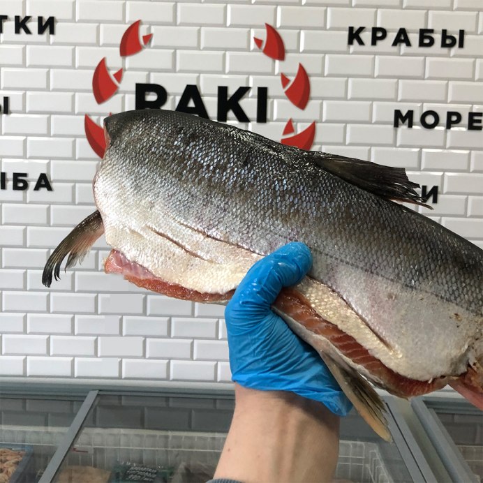 Иркутск улица Байкальская 108 ,,рыбный мир,.