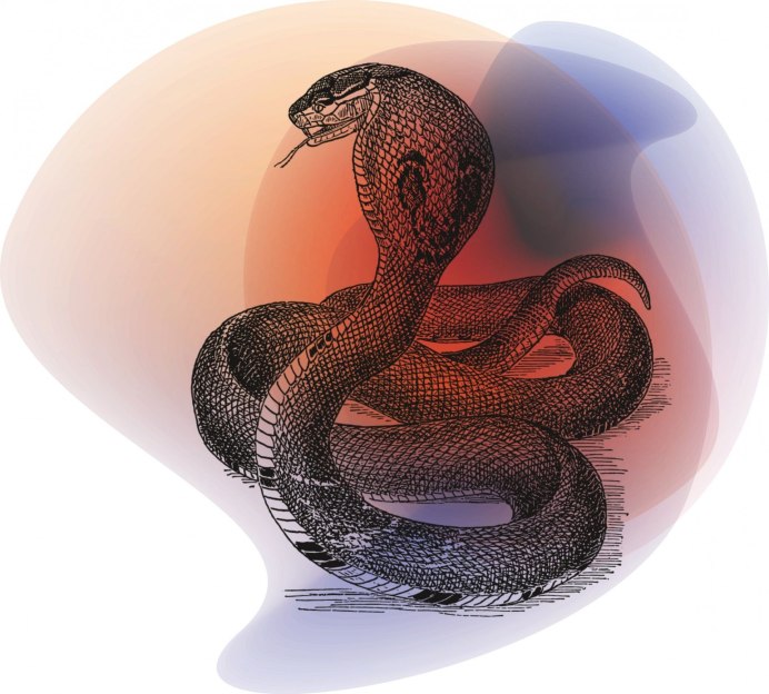 Cobra 3