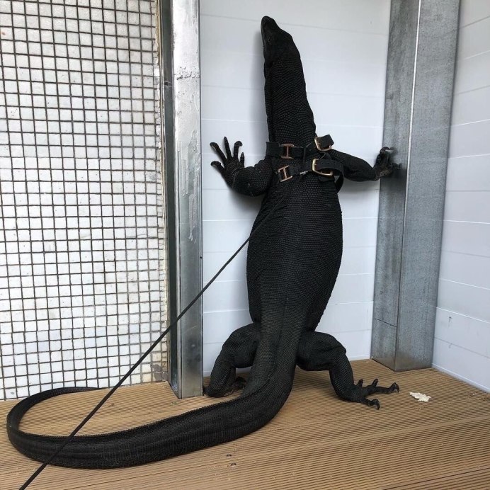 Водяной Варан черный